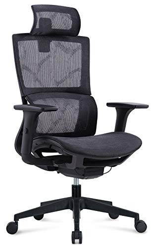 MIIGA ergonomischer Profi Bürostuhl Schreibtischstuhl für das Homeoffice, Chefsessel, ergonomisch, verstellbare Kopfstütze, Sitzhöhe und Rückenlehne, Belastbarkeit bis 150 kg MG233A (Schwarz) - 1