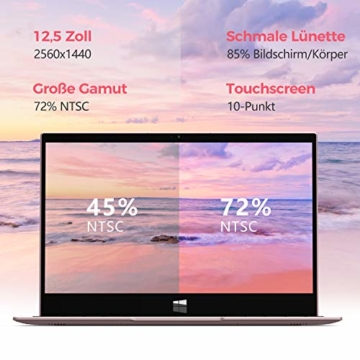 XIDU Notebook Tour Pro - 12,5 Zoll 2K IPS Touch Laptop mit Fingerabdruckleser (Intel 3867U, 8 GB RAM, 128 GB eMMC, Intel HD Graphics 610, Windows 10) - Rosegold - 2