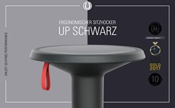 Interstuhl UPis1 – ergonomischer Sitzhocker mit Schwingeffekt – für einen geraden Rücken Made in Germany – inkl. 10 Jahren Garantie (Schwarz, Standard Edition) - 3