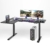 Flexispot E1LB Gaming Tisch (160 x 100 cm) | Großer Ergonomischer Schreibtisch für Büro und Zuhause | höhenverstellbar mit 2 Motoren und 2-Fach Beine (Schwarz) - 1