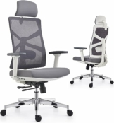HOLLUDLE Ergonomischer Bürostuhl mit Adaptiver Rückenlehne, Schreibtischstuhl mit 4D Armlehnen, Verstellbarer Sitztiefe, Lendenwirbelstütze und 2D Kopfstütze, Atmungsaktiver Netz-Chefsessel, Weiß - 1